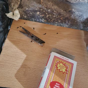 Leb-i Derya Taş Ev Evi Görünce Resmen Hayal Kırıklığına Uğradık