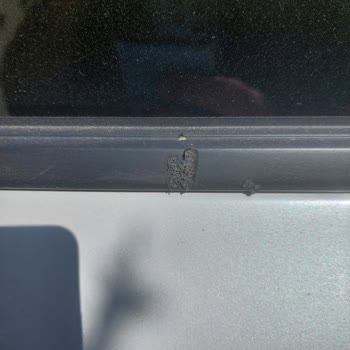 Peugeot 5008 Cam Fitili Sorunu Garanti Kapsamında Çözülmüyor