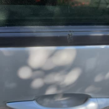 Peugeot 5008 Cam Fitili Sorunu Garanti Kapsamında Çözülmüyor