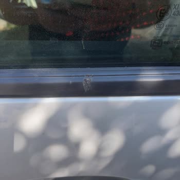 Peugeot 5008 Cam Fitili Sorunu Garanti Kapsamında Çözülmüyor