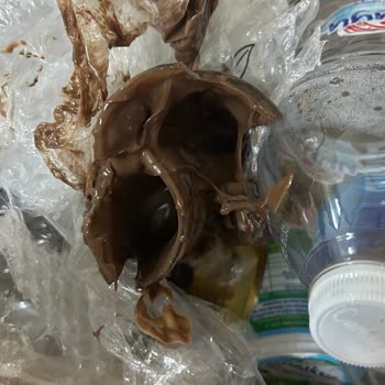 Kırık Kavanoz Ve Cam Parçalı Ürün İçin Çözüm Bekliyorum