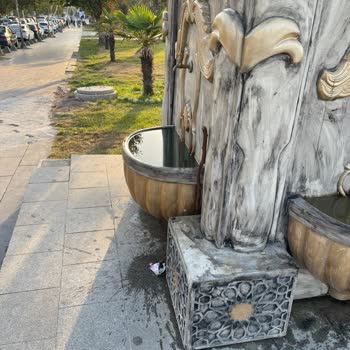 Akçakoca Merkezde Bakımsızlık Ve İlgisizlik Hayal Kırıklığı Yarattı