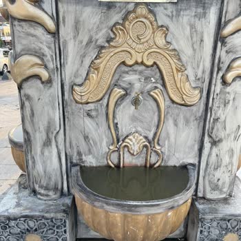 Akçakoca Merkezde Bakımsızlık Ve İlgisizlik Hayal Kırıklığı Yarattı