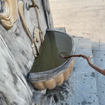 Akçakoca Merkezde Bakımsızlık Ve İlgisizlik Hayal Kırıklığı Yarattı