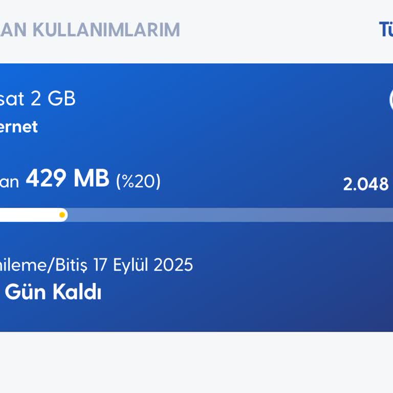 İnternet Paketimin Beklenenden Hızlı Tükenmesi Ve Destek Talebi