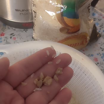 Satın Alınan Pirinçte Yabancı Cisim Ve Hijyen Endişesi