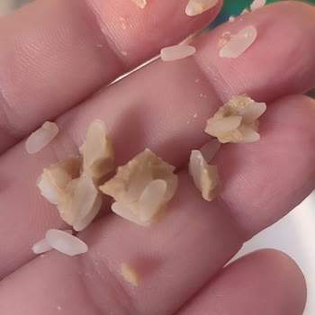 Satın Alınan Pirinçte Yabancı Cisim Ve Hijyen Endişesi