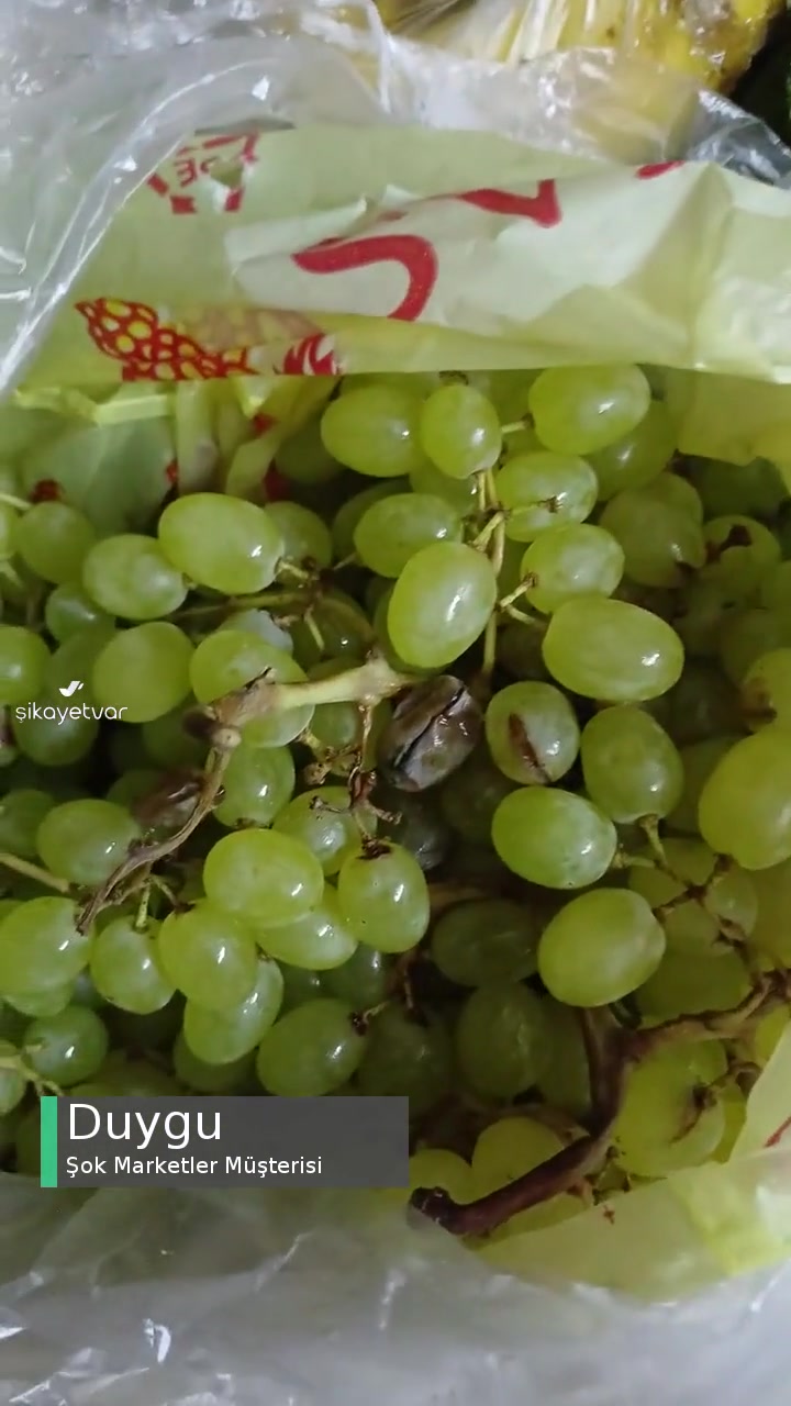 Şok Cepte Siparişi videonun kapak resmi