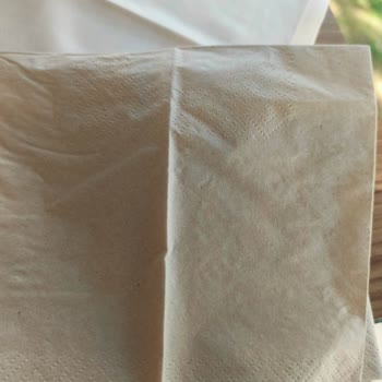 Setur Ve Champion Holiday Village’da Tatil Hayal Kırıklığı: Hijyen Sorunları Ve Yetersiz Müşteri Hizmeti
