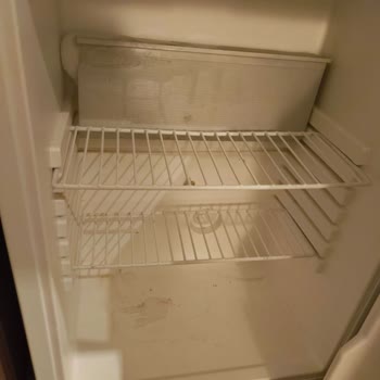 Setur Ve Champion Holiday Village’da Tatil Hayal Kırıklığı: Hijyen Sorunları Ve Yetersiz Müşteri Hizmeti