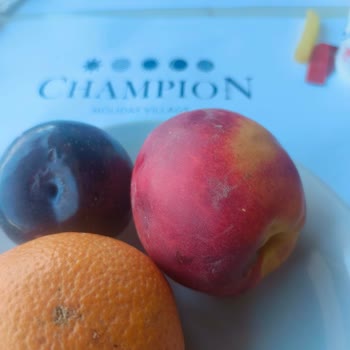 Setur Ve Champion Holiday Village’da Tatil Hayal Kırıklığı: Hijyen Sorunları Ve Yetersiz Müşteri Hizmeti