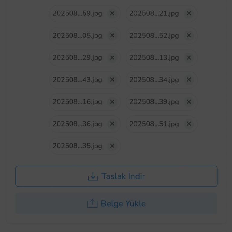 Başvuru Sürecinde Sürekli Teknik Hata Ve İletişimsizlik