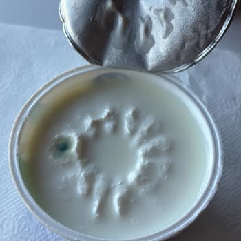 Son Kullanma Tarihi Geçmemiş Üründe Küf Sorunu Ve Mağduriyet