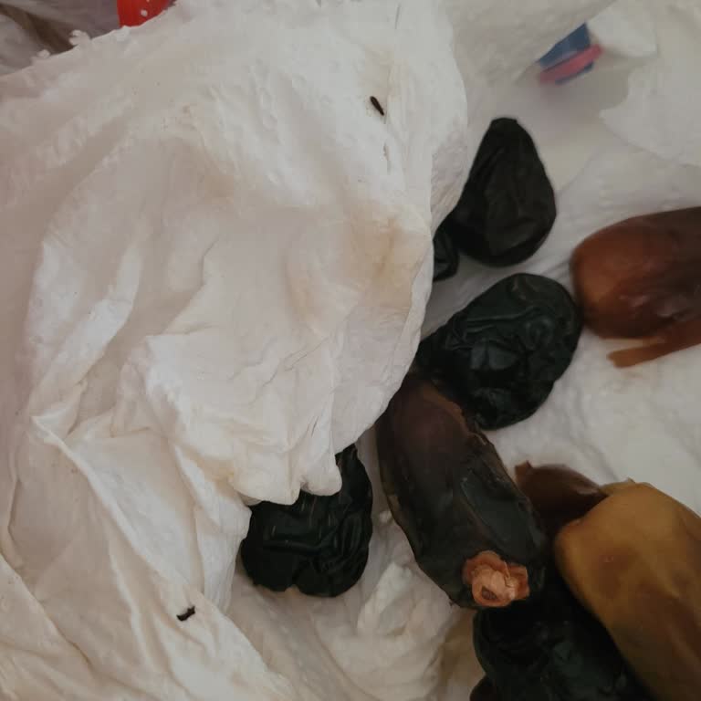 Hurmacı Müşfik Aldığım Hurmaların İçinden Canlı Böcekler Çıktı, Firma Dönüş Yapmadı