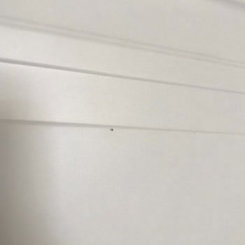 Siparişi Verilen Kapıların Eksik, Kusurlu Ve Gecikmeli Teslim Edilmesi Nedeniyle Mağduriyet