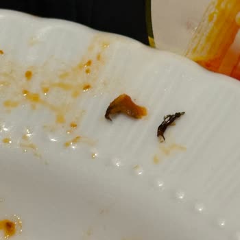 Knorr Bolonez Makarna Sosunda Böcek Ve Sağlık Sorunu Yaşadık