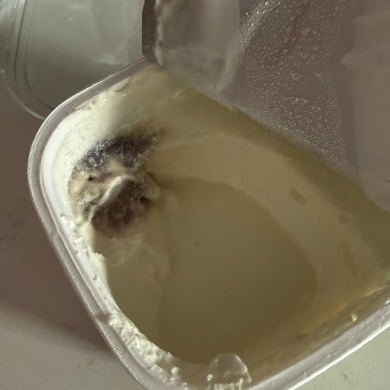 Yeni Alınan Siemens Buzdolabında Sürekli Gıda Bozulması Ve Mağduriyet