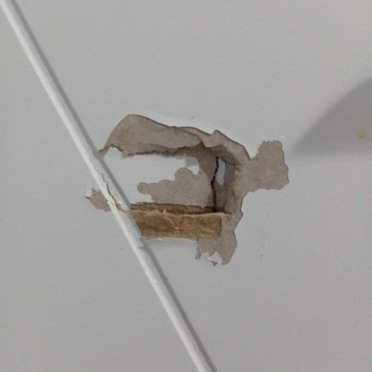 Satın Aldığımız Kapıların Kalitesizliği Ve Firma Yetkilisinin Tehdidi Nedeniyle Yaşadığımız Mağduriyet