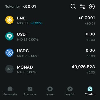 Bitget Satın Aldığım Coin Satılamıyor Ve Fiyat Bilgisi Görünmüyor