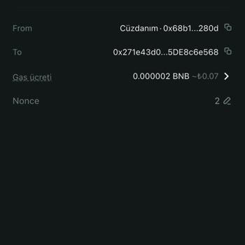 Bitget Satın Aldığım Coin Satılamıyor Ve Fiyat Bilgisi Görünmüyor