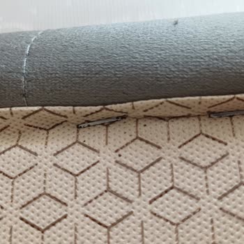 Baza Ve Yatakta Tahtakurusu: Garanti Süresine Rağmen Mağduriyet