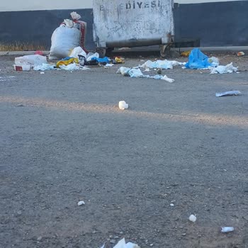 Alpu Belediyesi'nde Çöp Sorunu Ve Yetersiz Temizlik Hizmeti