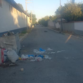 Alpu Belediyesi'nde Çöp Sorunu Ve Yetersiz Temizlik Hizmeti