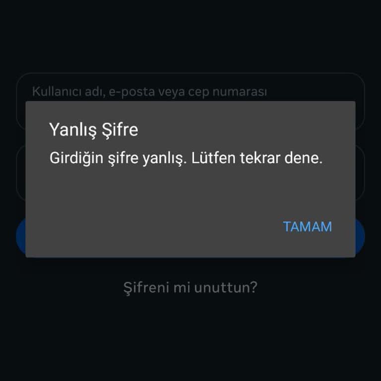 Instagram Hesabıma Erişemiyorum Şifre Sıfırlama Ve Destek Yanıtı Alamıyorum