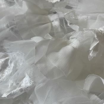 Kikiriki İadeyi Reddetti