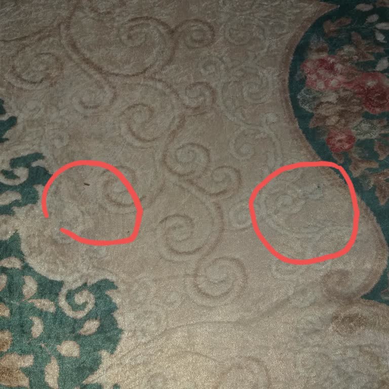 Aldığım Halı Kusurlu Çıktı, Satıcıdan Hiçbir Yanıt Alamıyorum