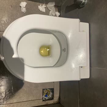 İstanbul Üniversitesi Diş Hekimliği Fakültesi Sağlık Kurumunda Ciddiyetsizlik