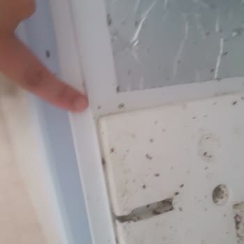 Arızalı Buzdolabı, Yetersiz Servis Ve Hasarlı İade Mağduriyeti
