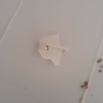 Arızalı Buzdolabı, Yetersiz Servis Ve Hasarlı İade Mağduriyeti
