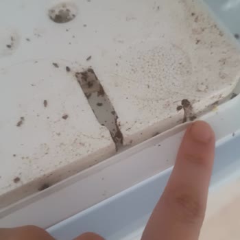 Arızalı Buzdolabı, Yetersiz Servis Ve Hasarlı İade Mağduriyeti