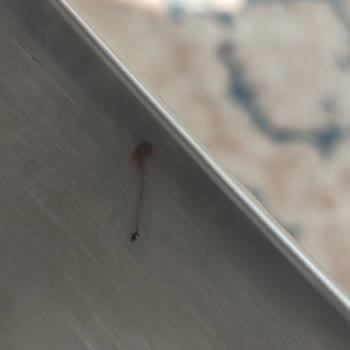 Fakir Chailand Çay Makinesinde Kısa Sürede Paslanma Sorunu Ve İade Talebi