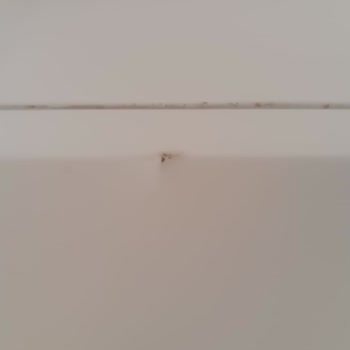 My Arçelik D70505N Refrigerator Never Cools and Was Returned Damaged