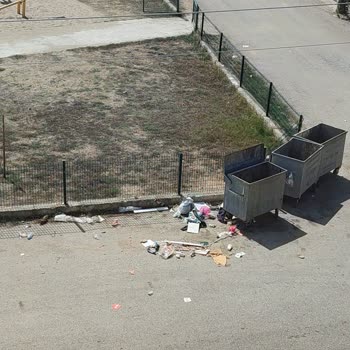 Evimin Önündeki Çöp Kovaları 6 Aydır Kaldırılmıyor Koku Ve Sağlık Sorunu Yaşıyorum