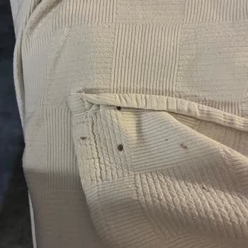 Casa Fora Resort'ta Kötü Hijyen Ve Yetersiz Hizmet Deneyimi