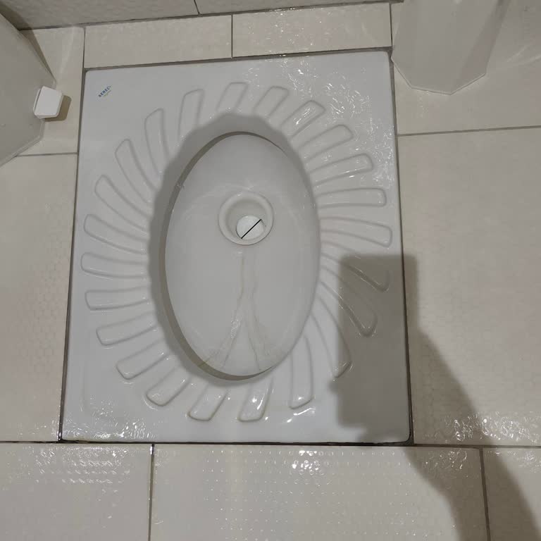 Serel Hijyen Tuvalet Taşında Erken Kararma Ve Yetersiz Müşteri Desteği