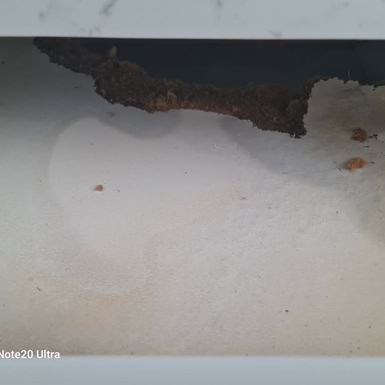 Eksik Personel, Eksik Hizmet Ve Hakaretli Yaklaşım