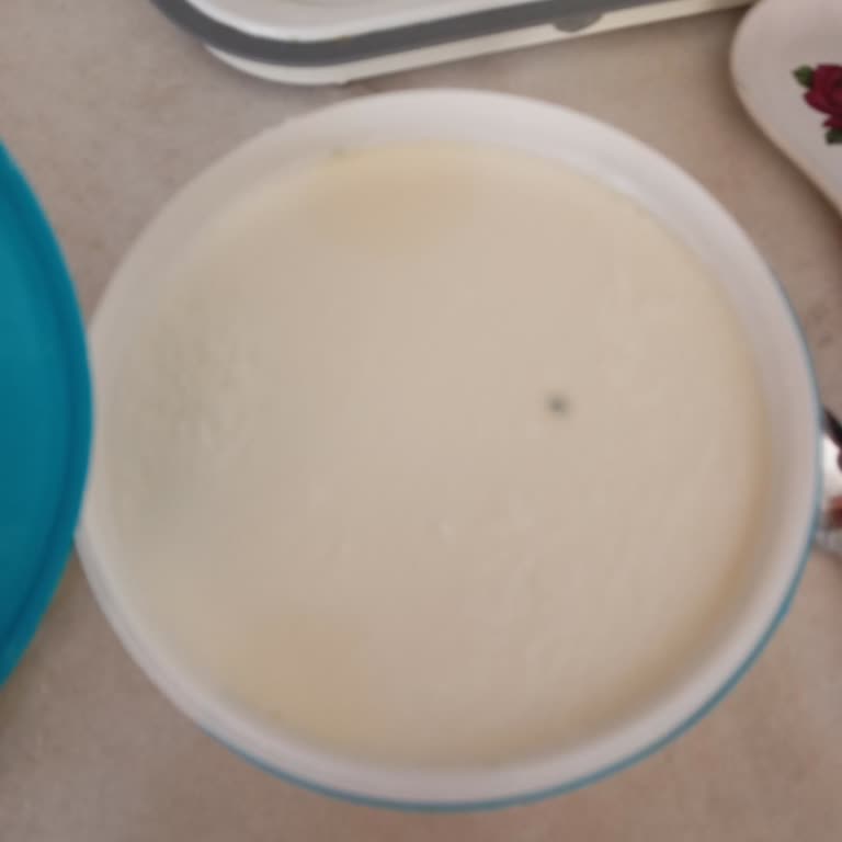 Son Tüketim Tarihi Geçmemiş Yoğurt Küflü Çıktı Müşteri Hizmetleri Yardımcı Olmadı