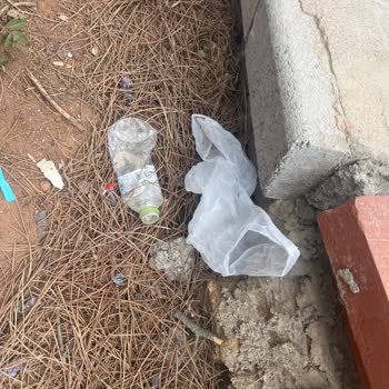 Park Alanlarında Temizlik Sorunları Hakkında Şikayet