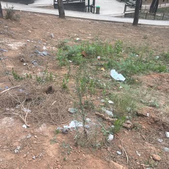 Park Alanlarında Temizlik Sorunları Hakkında Şikayet