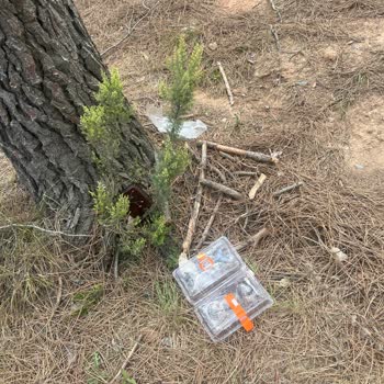 Park Alanlarında Temizlik Sorunları Hakkında Şikayet