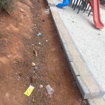 Park Alanlarında Temizlik Sorunları Hakkında Şikayet