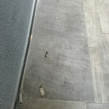 Doramar Tatil Köyünde Zehirlenme Ve Kötü Hijyen Şoku