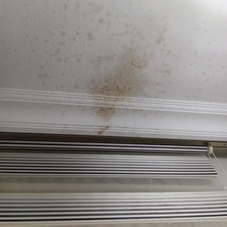 Altınkılıç Kefir Ürünlerinde Son Kullanma Tarihine Rağmen Köpürme Ve Patlama Sorunu