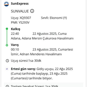 Online Check-in Sorunu Nedeniyle Uçağa Alınmadım, Mağduriyetimin Giderilmesini Talep Ediyorum