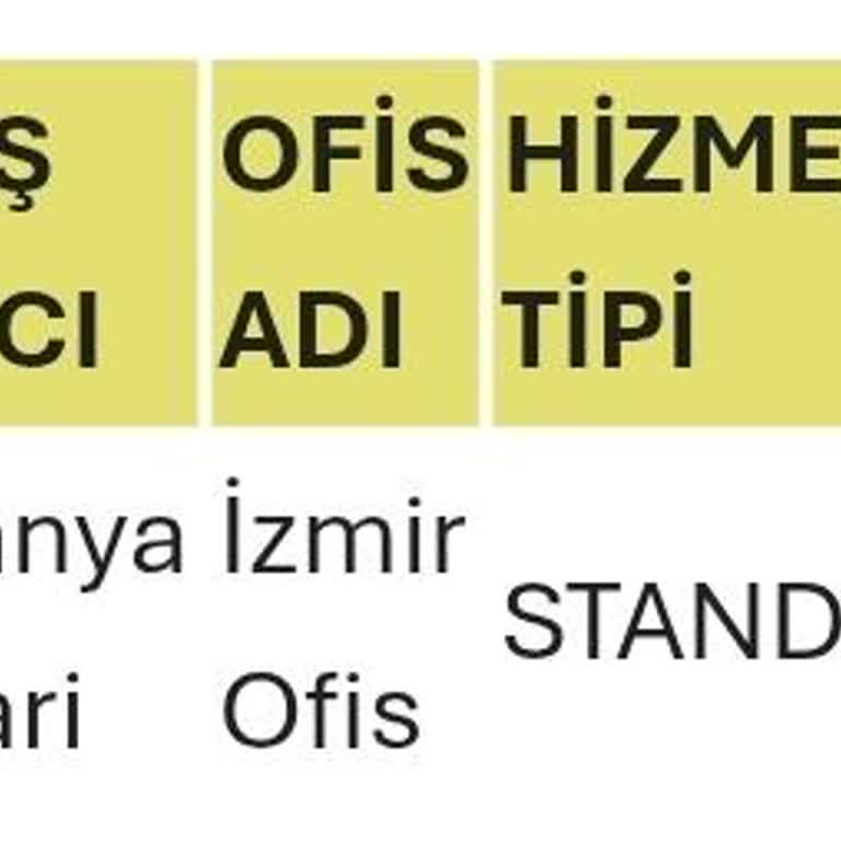 İData Vize Randevu Gecikmesi İş Fırsatımı Tehlikeye Atıyor