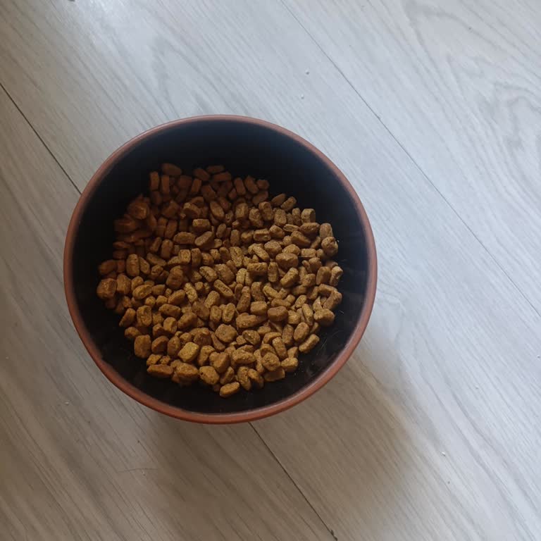 Pro Plan Liveclear 7 кг кошачий корм — мой кот не ест, нет ответа на запрос обмена